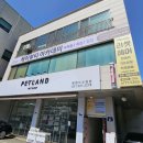 자격증 취득부터 취업·창업까지, 미용을 제대로 배우고 싶다면? 케이뷰티아카데미 후기
