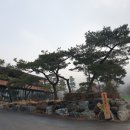 선일초등 이미지