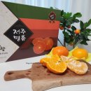 태현공부방 | 제주 특산품 제주도 레드향 천혜향 당도좋은 과즙가득 과일선물세트