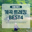 덕산기에서 | 2025 여름 국내 가볼만한곳 계곡 트레킹 BEST4 추천 (아침가리골/덕풍계곡/덕산기계곡/부연동계곡)