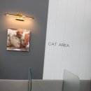 중마동물병원 이미지