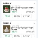파스쿠찌 크리스마스 케이크 원더랜드 트리 추천, 할인쿠폰 받는 방법