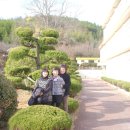 진교고등학교 이미지