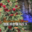 신세계모텔 | 연말 크리스마스 갈만한 곳 명동거리 신세계 롯데호텔 트리 볼거리