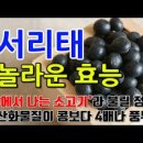 서리태 효능 서리태 칼로리 이미지