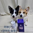 라임펫 | (강아지 샴푸 추천)보노몽 펫샴푸 사용후기