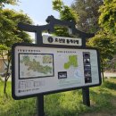 무릉요선 이미지