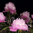 저녁나절 이미지