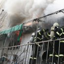 청원사슴목장 이미지