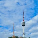 미스테리우스 | 이태원 해방촌 신흥시장 가볼만한 곳 희귀식물 빈티지샵 미스테리우스