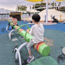 근린1공원 | [부산 대형놀이터] 사상근린공원 모험놀이장 후기✨️