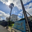 제주마중in판포 이미지