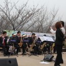 안산벚꽃음악회 이미지