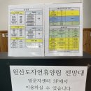 24 | 보령 원산도자연휴양림 파도채 3호 가격 숙박 후기와 이용 꿀팁