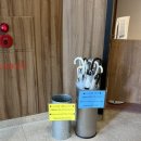 초가인 inn | 도쿄역 근처 가성비 호텔 추천 - 케이오 프레소 인 니혼바시 가야바초 후기(위치,가격,조식)