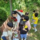 청목어린이집 이미지