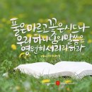 복있는 약국 이미지