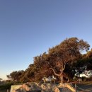 리언파크 이미지