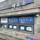 더베니스랜드 | [제주 서귀포] 베니스 랜드 - 이색적인 곤돌라 체험(잉어 먹이 주기 가능)