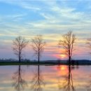 해뜨는풍경 이미지