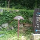 삼신스테이 이미지