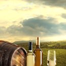 영동군 관광안내소 이미지