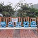 자연-어울림 이미지