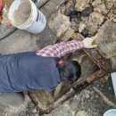 영도빌딩 이미지