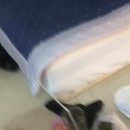 매물도해물탕 이미지