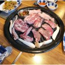 참착한고기 이미지