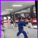 다부진 합기도 이미지