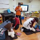 월디어린이집 이미지