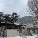 포레스트 구봉 | 강원도 춘천 감성숙소 포레스트구봉 3동 독채 숙소 후기