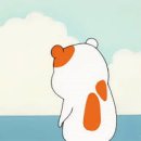 복실애견 이미지