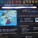 대부해솔길 2코스 이미지