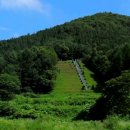 조욱 선생묘 이미지