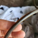 쌍용카정비 이미지