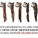 헬시큐어