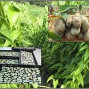 만나농장 이미지