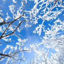 무주읍159 이미지