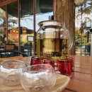 허브나무 이미지