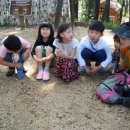 예천초등학교 이미지