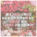 홍대 라피아 스튜디오 공주촬영 추천! 상상속 공주가...지는 마법 같은 공간!니키로즈 리얼 체험 후기!