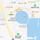 [속초 맛집] 대게바다, 속초주민이 쓰는 대게맛집 내돈내산 만족 후기
