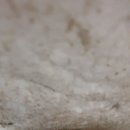 대동빌라 이미지