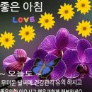 기분좋은하루 이미지