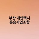 부산개인택시운송사업조합 | 부산 개인택시 운송사업조합