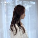 살롱이솔