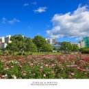 태화강국가정원 이미지