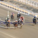 금아슈퍼 | 레이스 후기